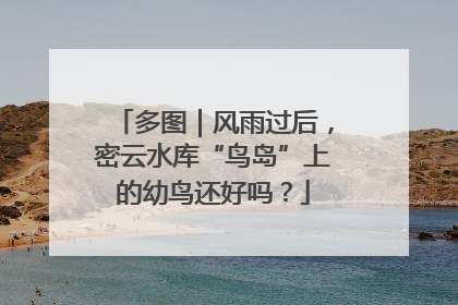 多图｜风雨过后，密云水库“鸟岛”上的幼鸟还好吗？