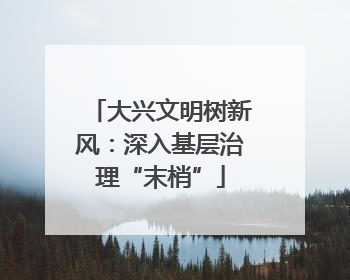 大兴文明树新风：深入基层治理“末梢”