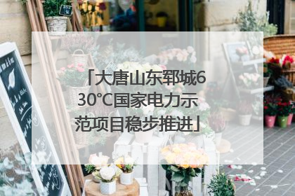 大唐山东郓城630℃国家电力示范项目稳步推进