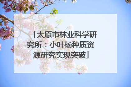 太原市林业科学研究所：小叶杨种质资源研究实现突破