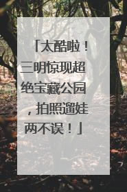 太酷啦！三明惊现超绝宝藏公园，拍照遛娃两不误！