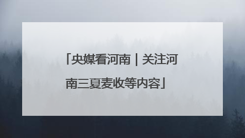 央媒看河南｜关注河南三夏麦收等内容