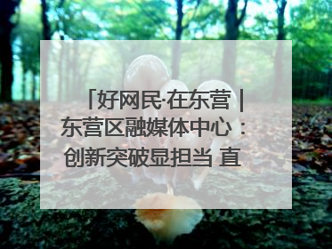 好网民·在东营｜东营区融媒体中心：创新突破显担当 直播赋能谱华章