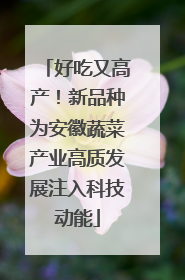 好吃又高产！新品种为安徽蔬菜产业高质发展注入科技动能