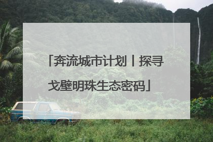 奔流城市计划丨探寻戈壁明珠生态密码