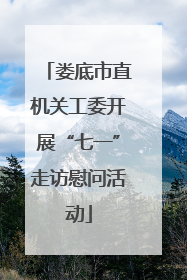 娄底市直机关工委开展“七一”走访慰问活动