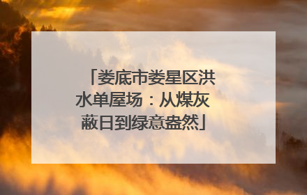 娄底市娄星区洪水单屋场：从煤灰蔽日到绿意盎然