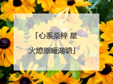 心系桑梓 星火燎原暖湖塘