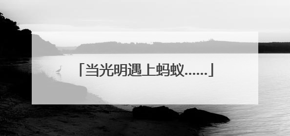 当光明遇上蚂蚁……