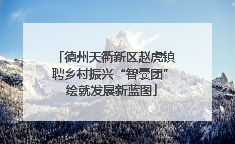 德州天衢新区赵虎镇聘乡村振兴“智囊团” 绘就发展新蓝图