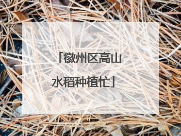 徽州区高山水稻种植忙