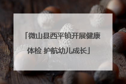 微山县西平镇开展健康体检 护航幼儿成长