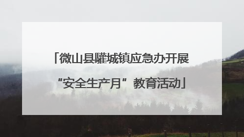 微山县驩城镇应急办开展“安全生产月”教育活动