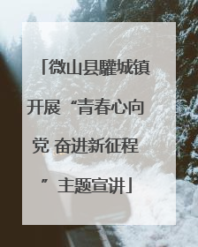 微山县驩城镇开展“青春心向党 奋进新征程”主题宣讲