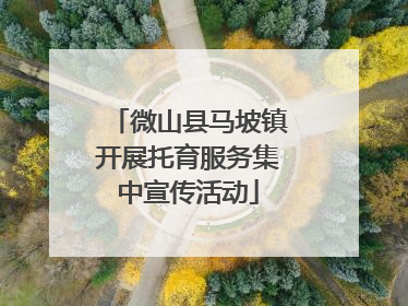 微山县马坡镇开展托育服务集中宣传活动