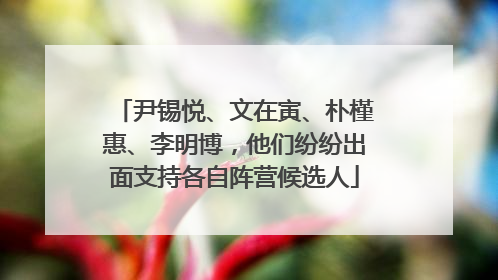 尹锡悦、文在寅、朴槿惠、李明博，他们纷纷出面支持各自阵营候选人