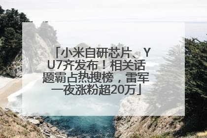 小米自研芯片、YU7齐发布！相关话题霸占热搜榜，雷军一夜涨粉超20万