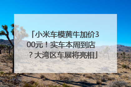 小米车模黄牛加价300元！实车本周到店？大湾区车展将亮相