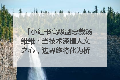 小红书高级副总裁汤维维：当技术深植人文之心，边界终将化为桥梁｜聚焦2025文化强国建设高峰论坛