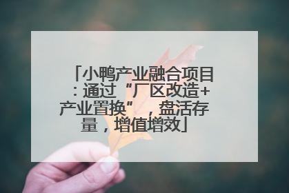 小鸭产业融合项目：通过“厂区改造+产业置换”，盘活存量，增值增效