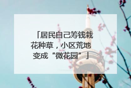 居民自己筹钱栽花种草，小区荒地变成“微花园”