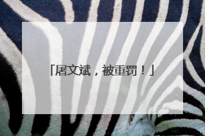 屠文斌，被重罚！