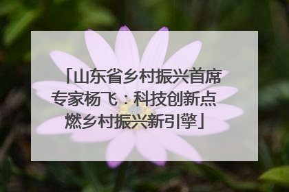 山东省乡村振兴首席专家杨飞：科技创新点燃乡村振兴新引擎