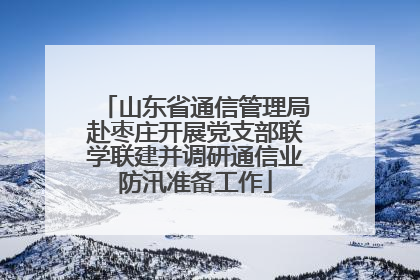 山东省通信管理局赴枣庄开展党支部联学联建并调研通信业防汛准备工作