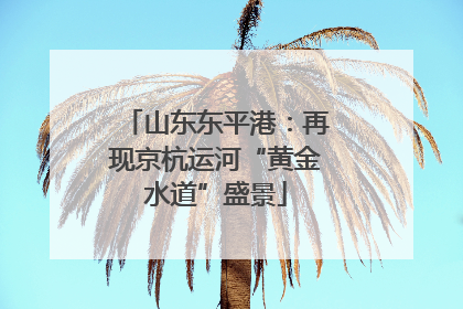 山东东平港：再现京杭运河“黄金水道”盛景