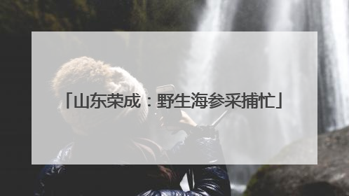 山东荣成：野生海参采捕忙