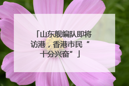 山东舰编队即将访港，香港市民“十分兴奋”