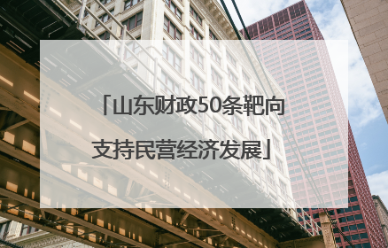 山东财政50条靶向支持民营经济发展