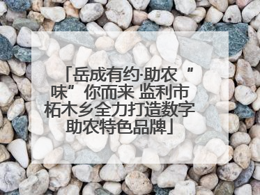 岳成有约·助农“味”你而来 监利市柘木乡全力打造数字助农特色品牌