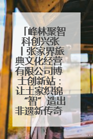 峰林聚智 科创兴张丨张家界旅典文化经营有限公司博士创新站：让土家织锦“智”造出非遗新传奇