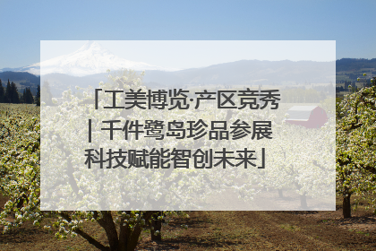 工美博览·产区竞秀｜千件鹭岛珍品参展 科技赋能智创未来