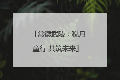 常德武陵：税月童行 共筑未来