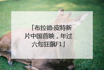 布拉德·皮特新片中国首映，年过六旬狂飙F1