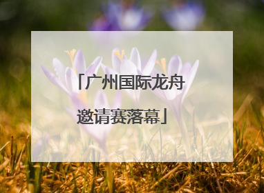 广州国际龙舟邀请赛落幕