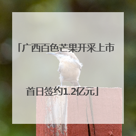 广西百色芒果开采上市 首日签约1.2亿元