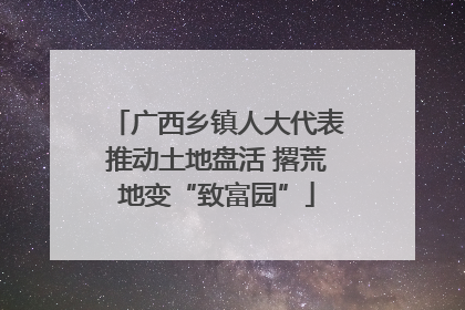 广西乡镇人大代表推动土地盘活 撂荒地变“致富园”
