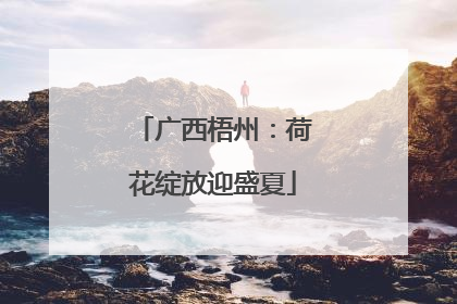 广西梧州：荷花绽放迎盛夏