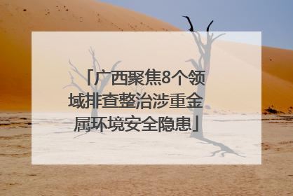 广西聚焦8个领域排查整治涉重金属环境安全隐患