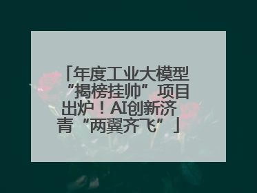 年度工业大模型“揭榜挂帅”项目出炉！AI创新济青“两翼齐飞”