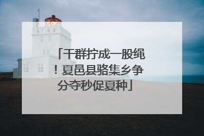 干群拧成一股绳！夏邑县骆集乡争分夺秒促夏种