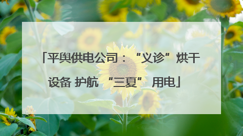 平舆供电公司：“义诊”烘干设备 护航 “三夏” 用电