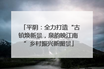 平阴：全力打造“古镇焕新景，泉韵映江南”乡村振兴新图景