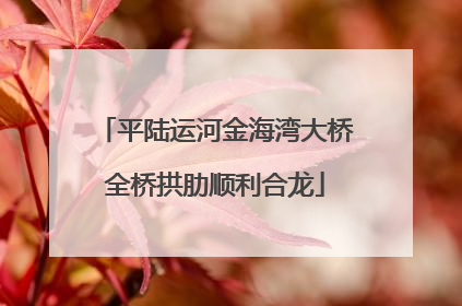 平陆运河金海湾大桥全桥拱肋顺利合龙