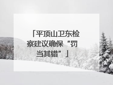 平顶山卫东检察建议确保“罚当其错”