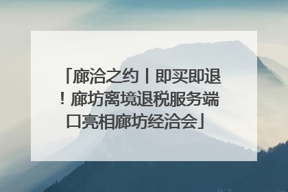 廊洽之约丨即买即退！廊坊离境退税服务端口亮相廊坊经洽会