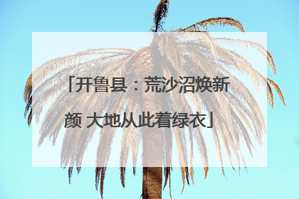 开鲁县：荒沙沼焕新颜 大地从此着绿衣